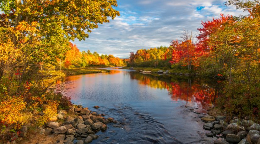 L’automne : Une saison de transformation et de croissance personnelle