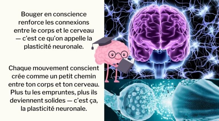 Un “core” qui ous sauve le dos