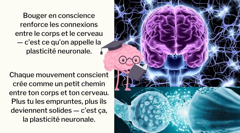 Un “core” qui ous sauve le dos